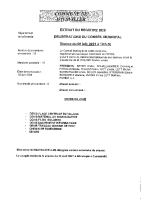 Conseil Municipal du 08 juin 2021